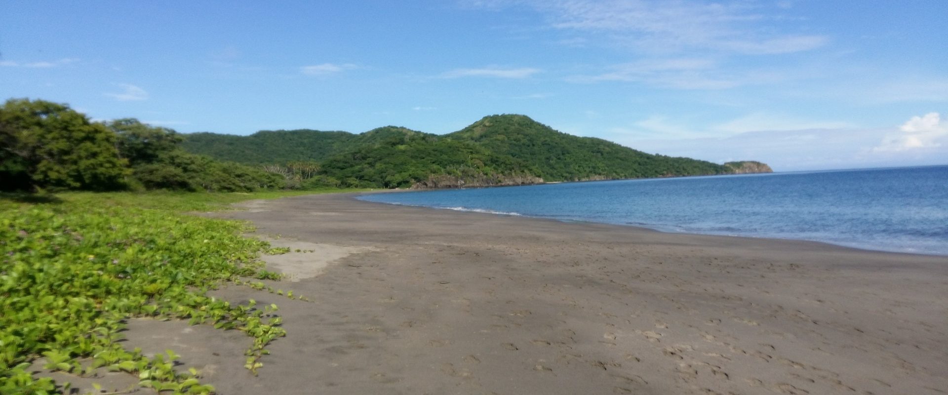 Playa Matapalo