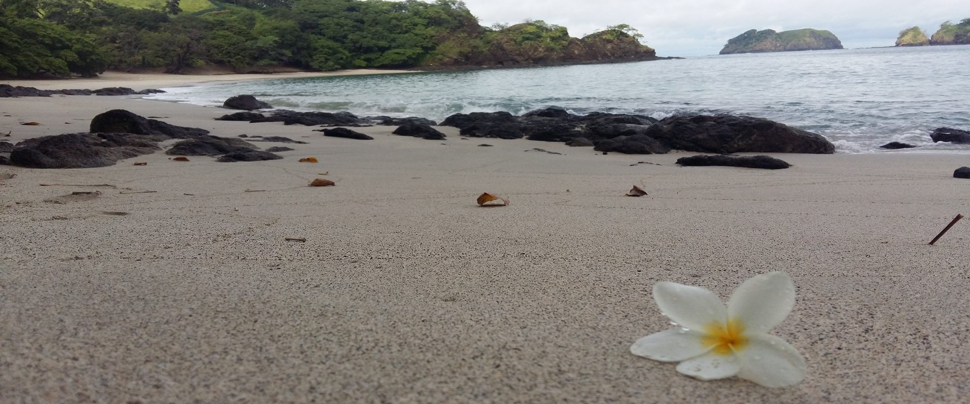 Playa Penca (Punta Cacique)