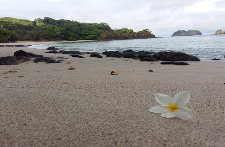 Playa Penca (Punta Cacique)